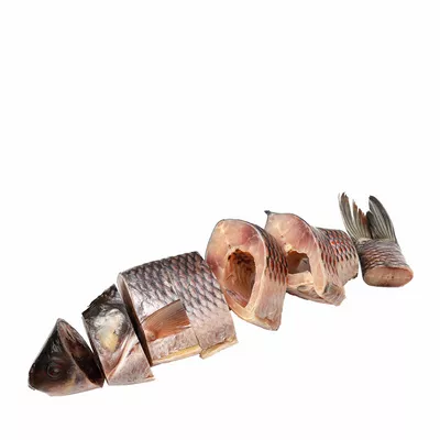 Fish